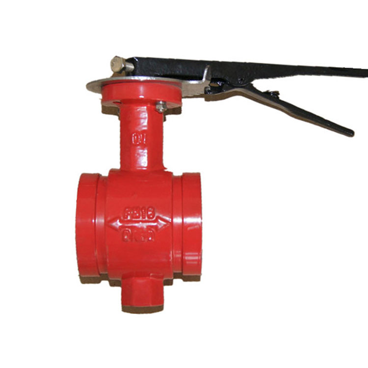 Why it is called butterfly valve?