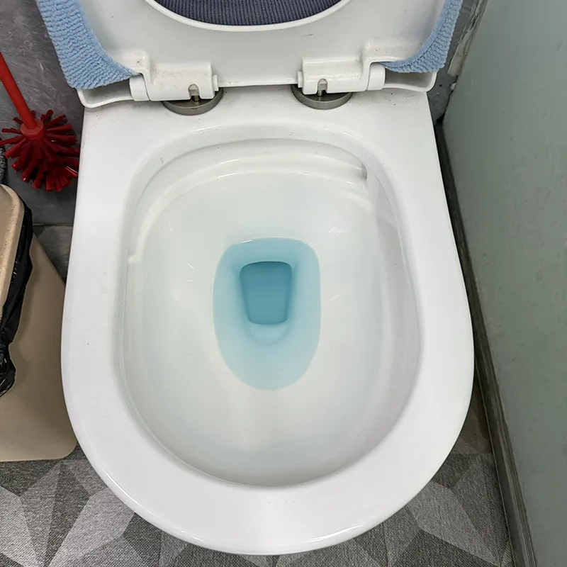 Is Your Toilet Cleaner Actually Solving the Real Bathroom Problems?