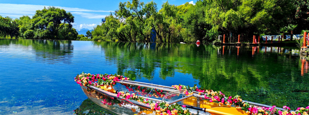 Yushui Village Scenic Area: The Ultimate Guide to an Unforgettable Experience